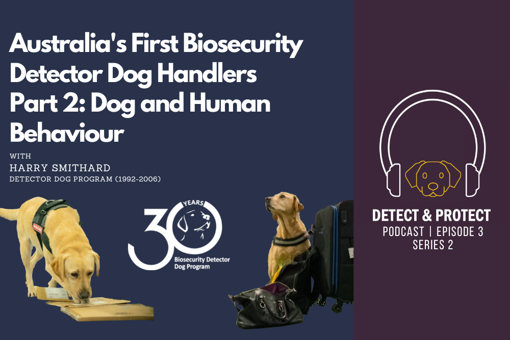 Australia’s First Biosecurity Detector Dog Handlers Part 2 Dog and